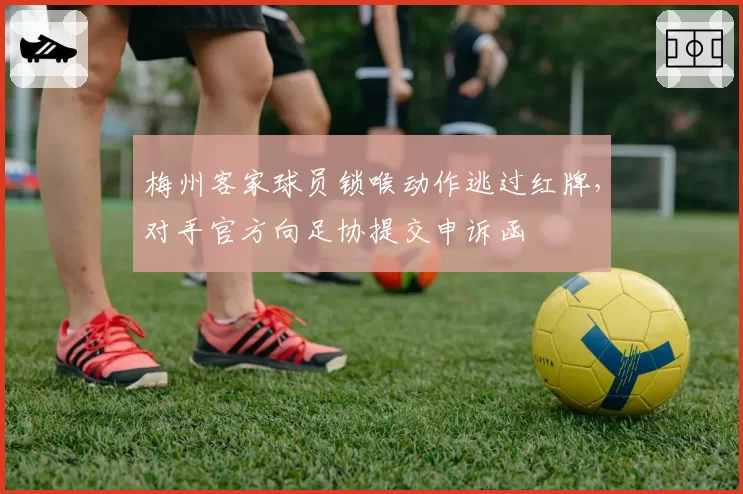 梅州客家球员锁喉动作逃过红牌,对手官方向足协提交申诉函