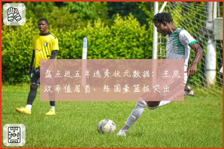 盘点近五年选秀状元数据：王岚嵚效率值居首，陈国豪篮板突出