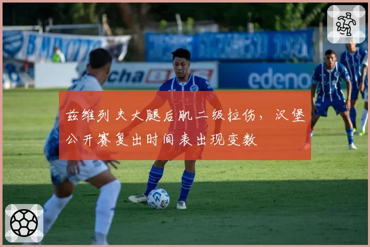 兹维列夫大腿后肌二级拉伤,汉堡公开赛复出时间表出现变数