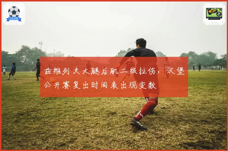 兹维列夫大腿后肌二级拉伤，汉堡公开赛复出时间表出现变数