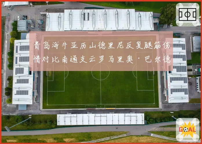 青岛海牛亚历山德里尼反复腿筋伤情对比南通支云罗马里奥·巴尔德类似病史：技术型外援的体质谜题